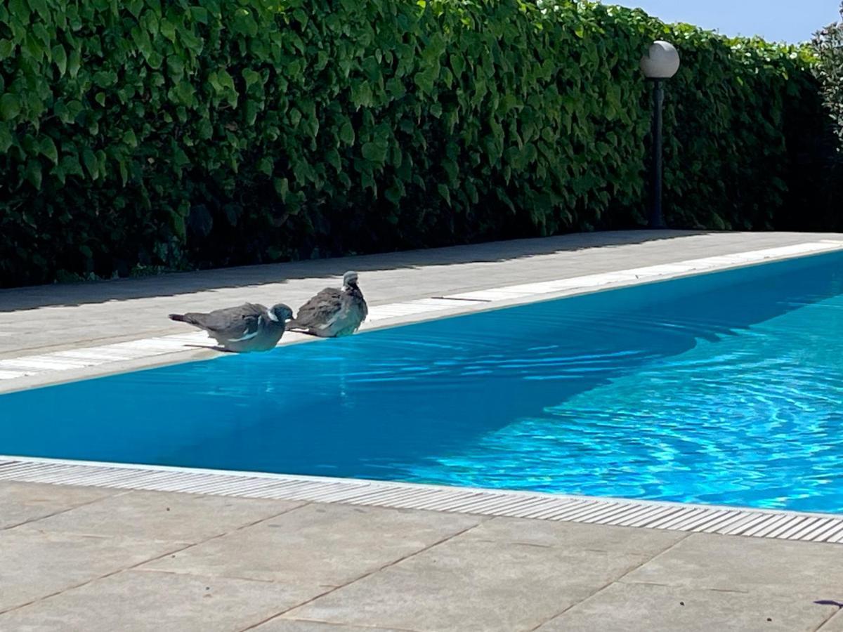 Pansion Margerita Bed and Breakfast Πόρετς Εξωτερικό φωτογραφία