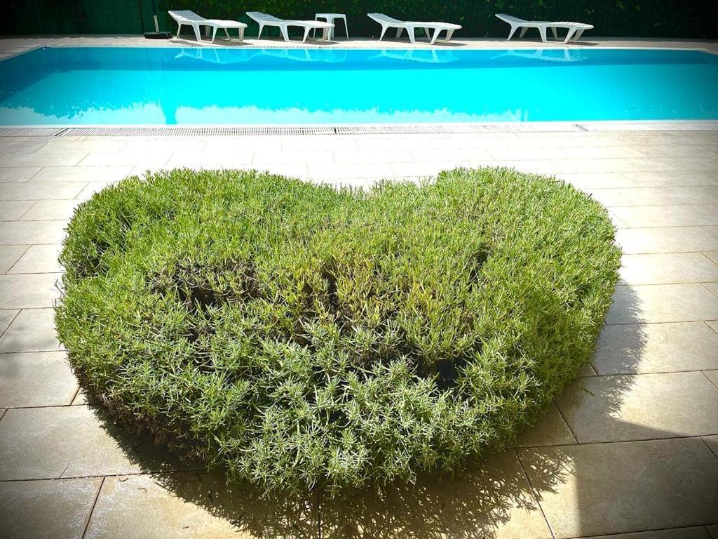 Pansion Margerita Bed and Breakfast Πόρετς Εξωτερικό φωτογραφία