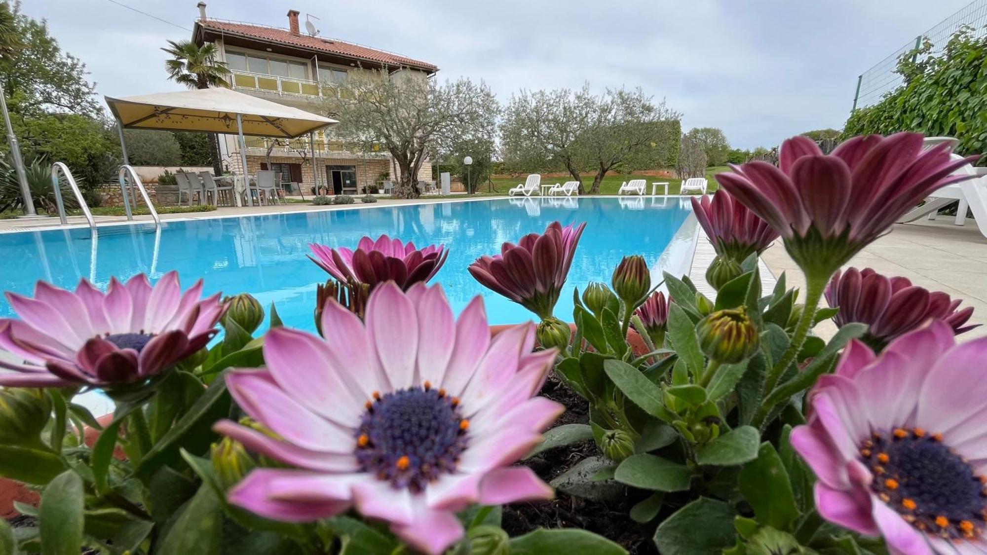 Pansion Margerita Bed and Breakfast Πόρετς Εξωτερικό φωτογραφία
